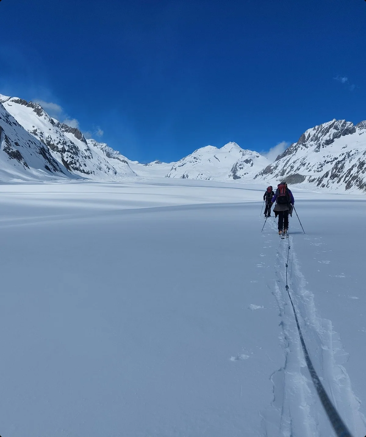 am großen Aletsch-Gletscher | © DAV Sektion Altdorf - Jan Kürschner