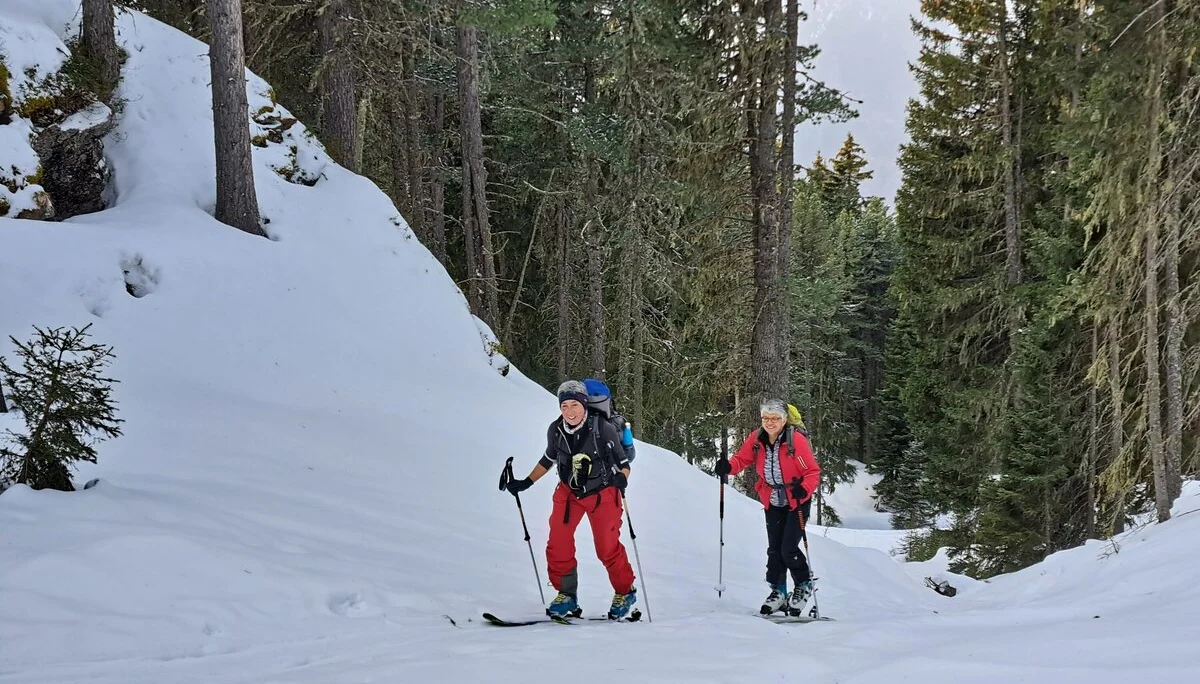Anstieg im Waldbereich | © DAV Sektion Altdorf - Jan Kürschner