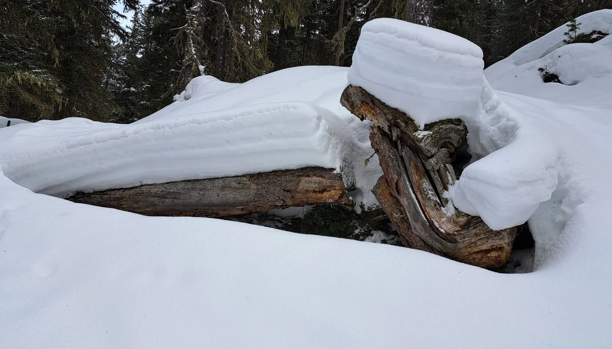verschneite Landschaft | © DAV Sektion Altdorf - Jan Kürschner