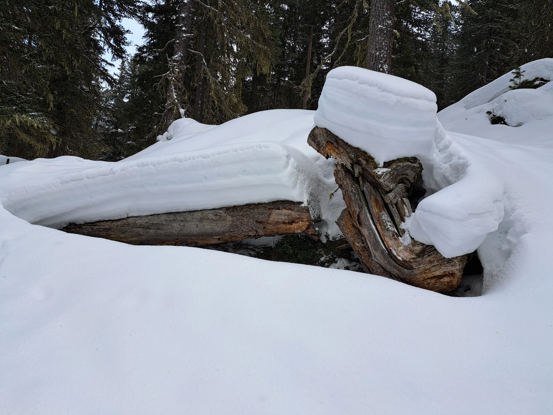 verschneite Landschaft | © DAV Sektion Altdorf - Jan Kürschner