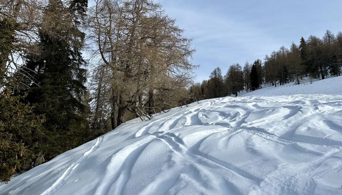 Leichte Skitour24 | © DAV Sektion Altdorf - Monika Kürschner