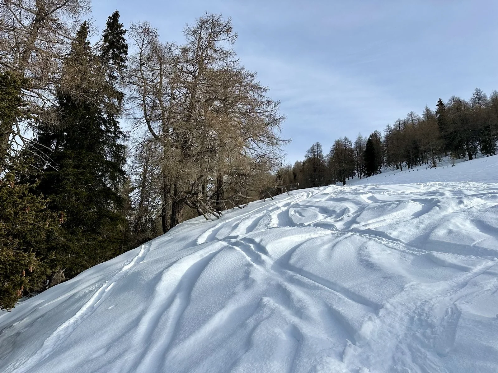 Leichte Skitour24 | © DAV Sektion Altdorf - Monika Kürschner