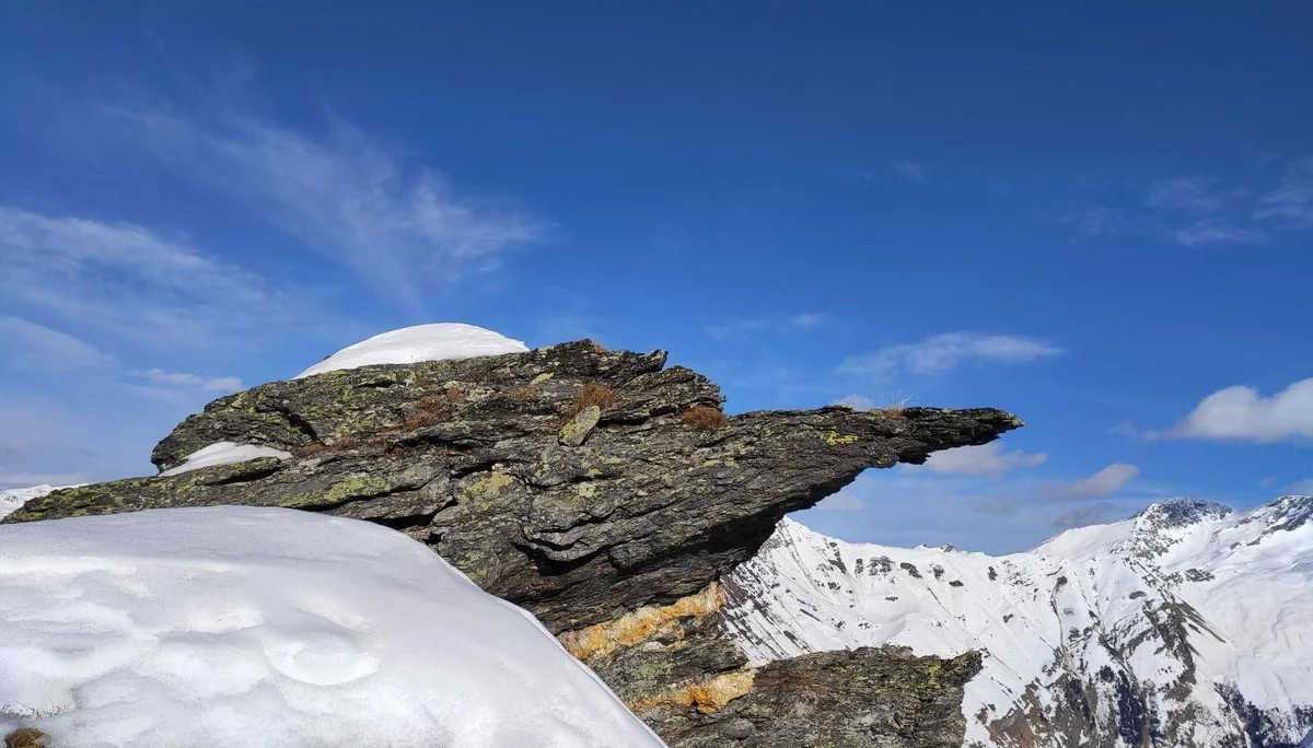 Geierkogel - Gipfel | © DAV Sektion Altdorf - Heidi Mauer