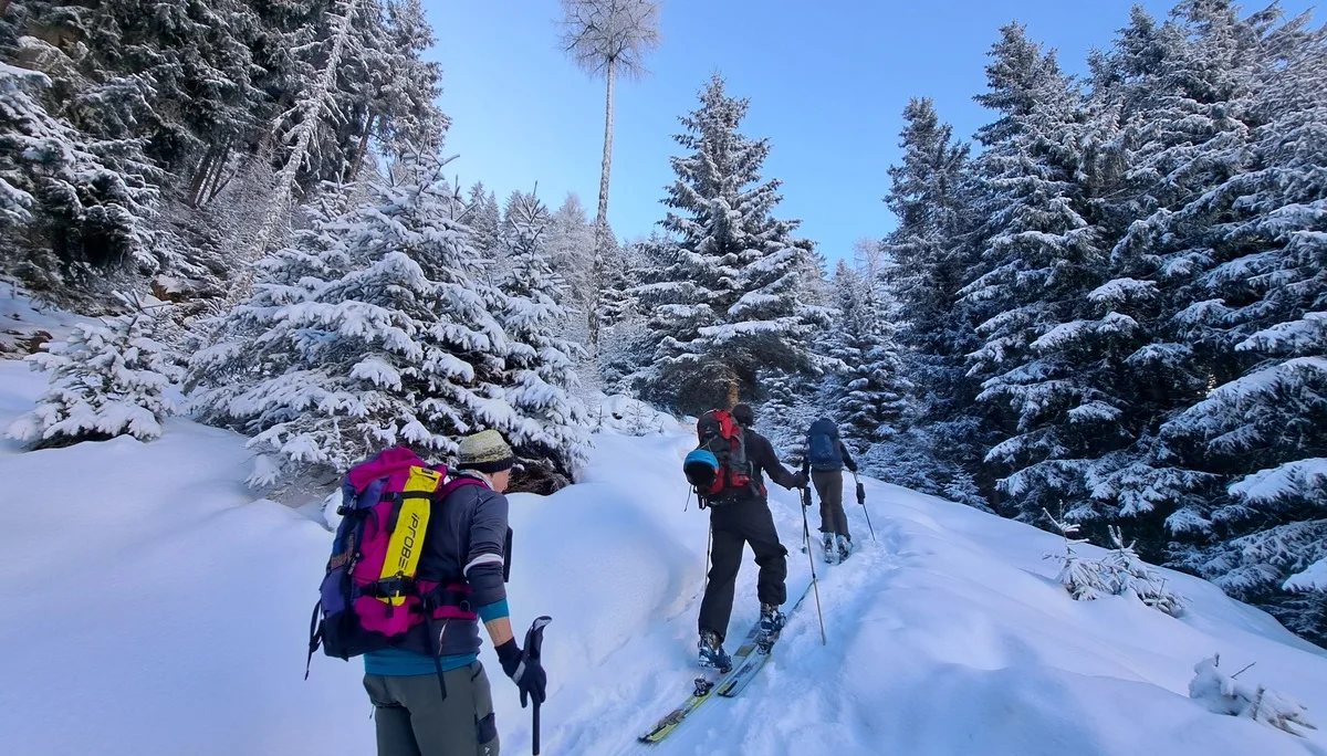 im verschneiten Bergwald zur Juifenalm | © DAV Sektion Altdorf - Jan Kürschner