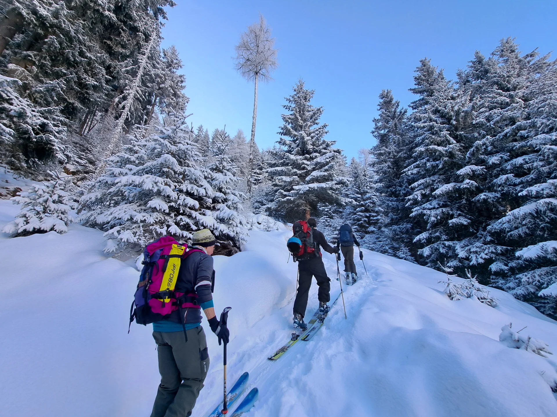 im verschneiten Bergwald zur Juifenalm | © DAV Sektion Altdorf - Jan Kürschner