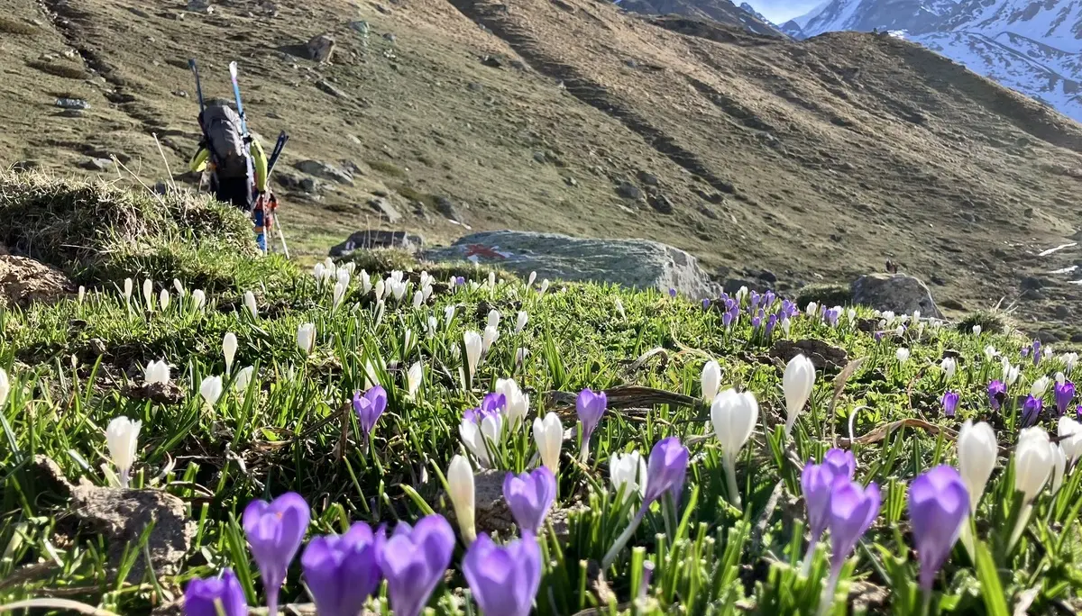 Wanderung am Torrente du Valsorey | © DAV Sektion Altdorf - Wolfgang Müller