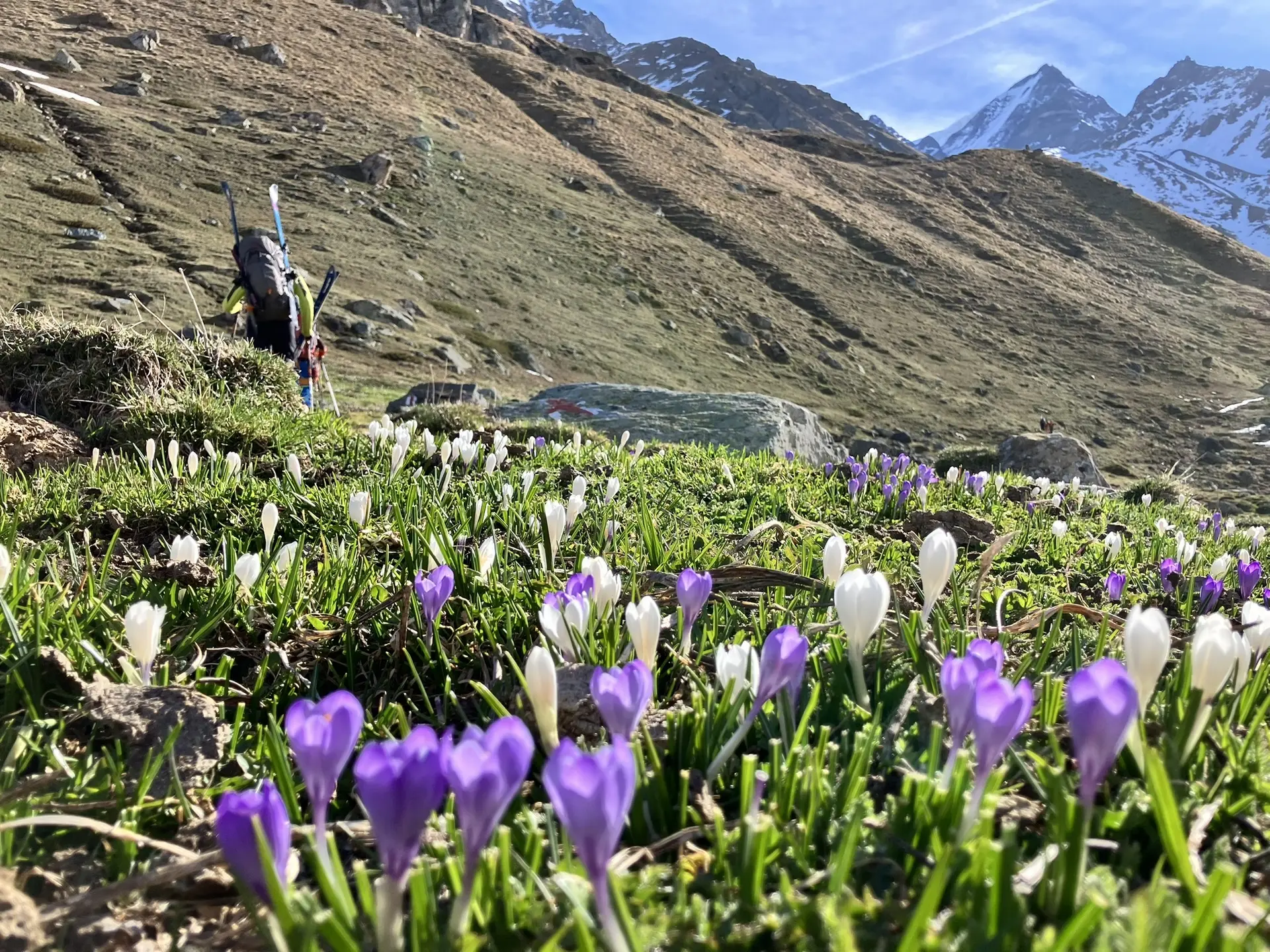 Wanderung am Torrente du Valsorey | © DAV Sektion Altdorf - Wolfgang Müller
