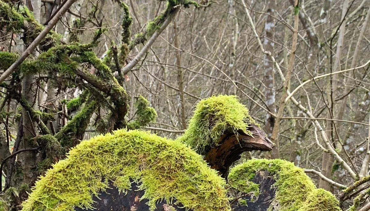 Molsberger Tal | © DAV Sektion Altdorf- Uli Reichert