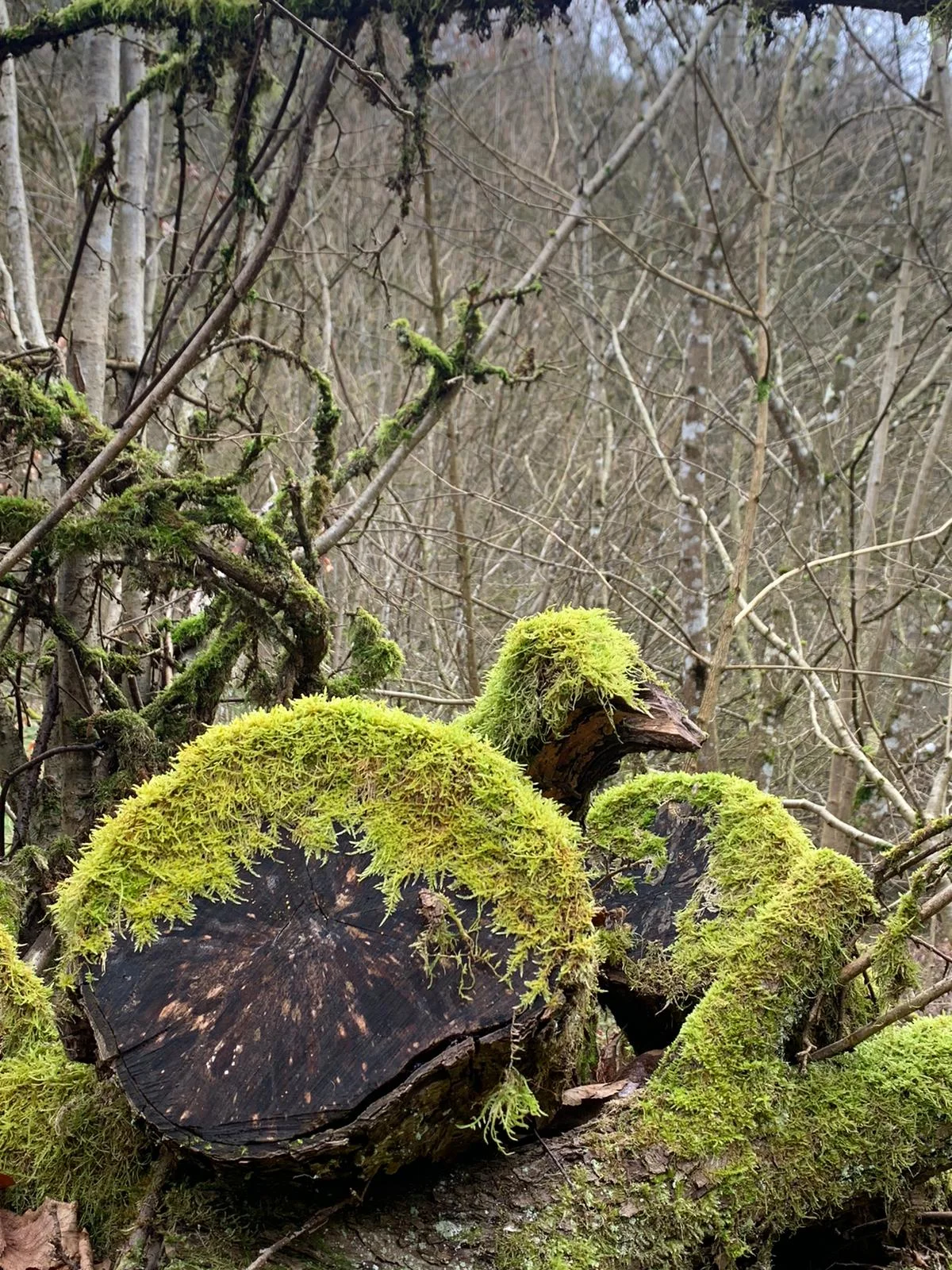Molsberger Tal | © DAV Sektion Altdorf- Uli Reichert