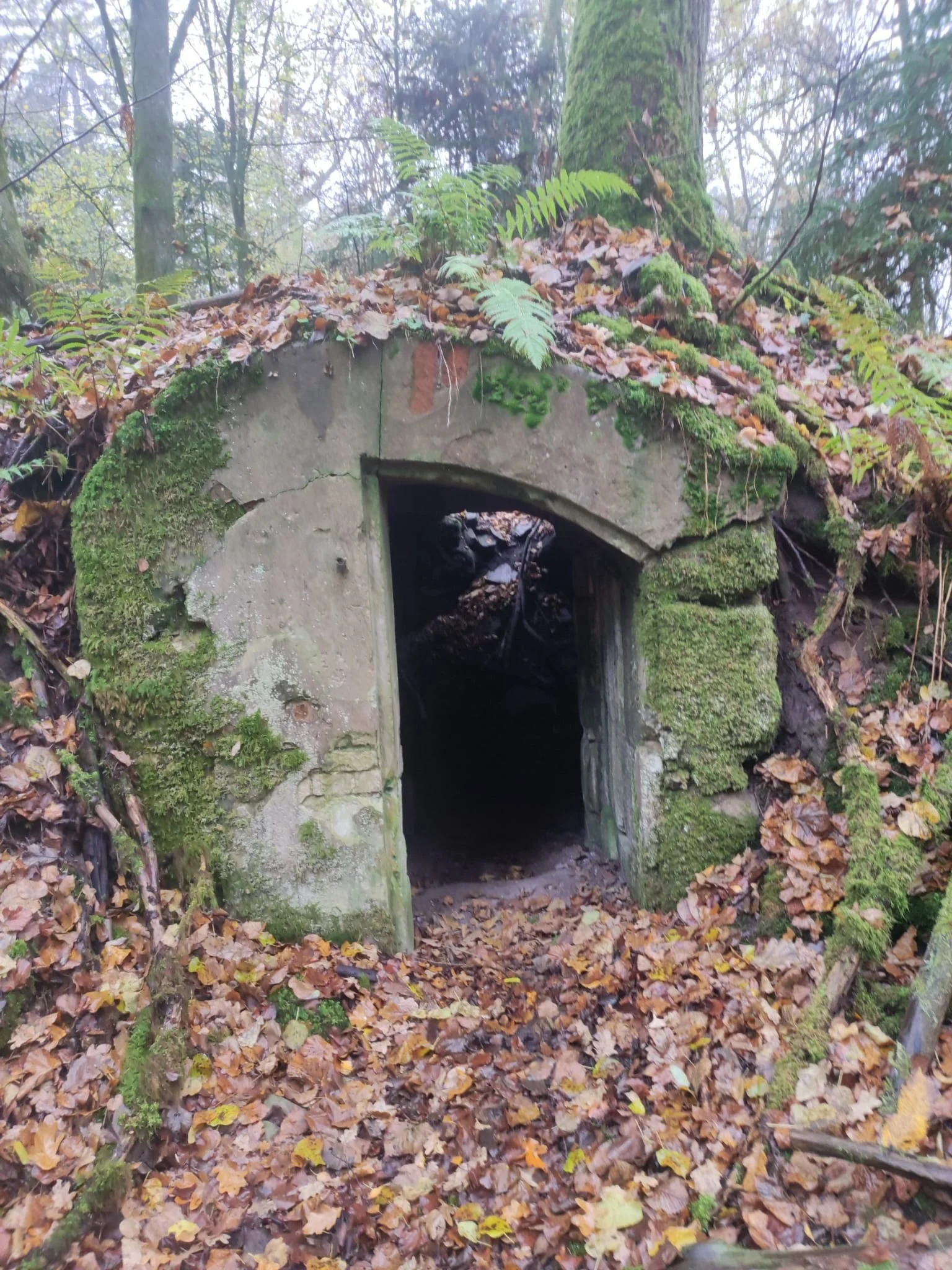 Wernloch | © DAV Sektion Altdorf - Peter Chunsek und Uli Reichert