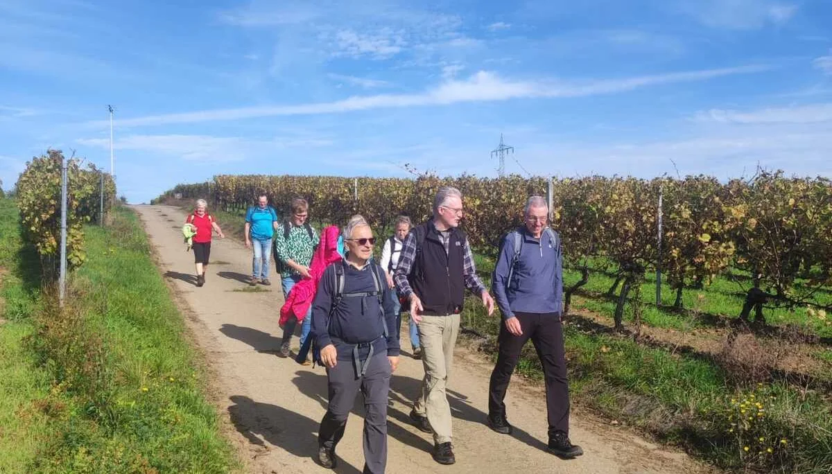 Sulzfelder Weinlagen | © DAV Sektion Altdorf - Peter Chunsek