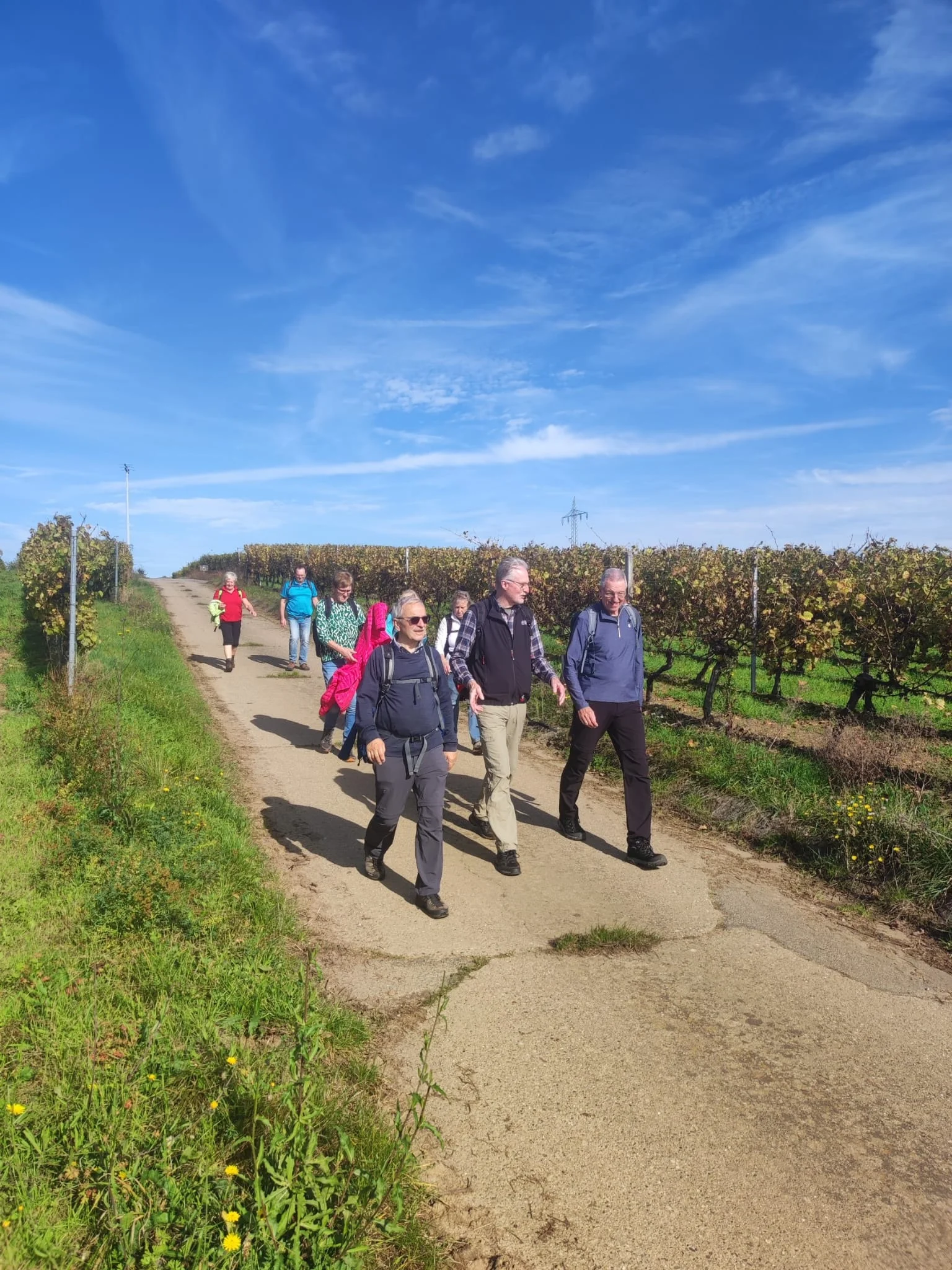 Sulzfelder Weinlagen | © DAV Sektion Altdorf - Peter Chunsek