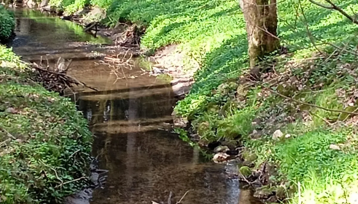 Ezelsdorfer Saugraben | © DAV Sektion Altdorf - Hubert Seel