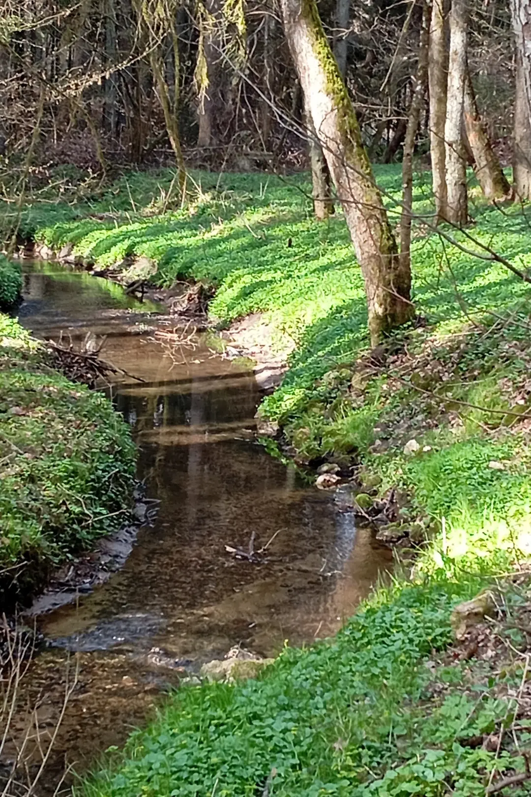 Ezelsdorfer Saugraben | © DAV Sektion Altdorf - Hubert Seel