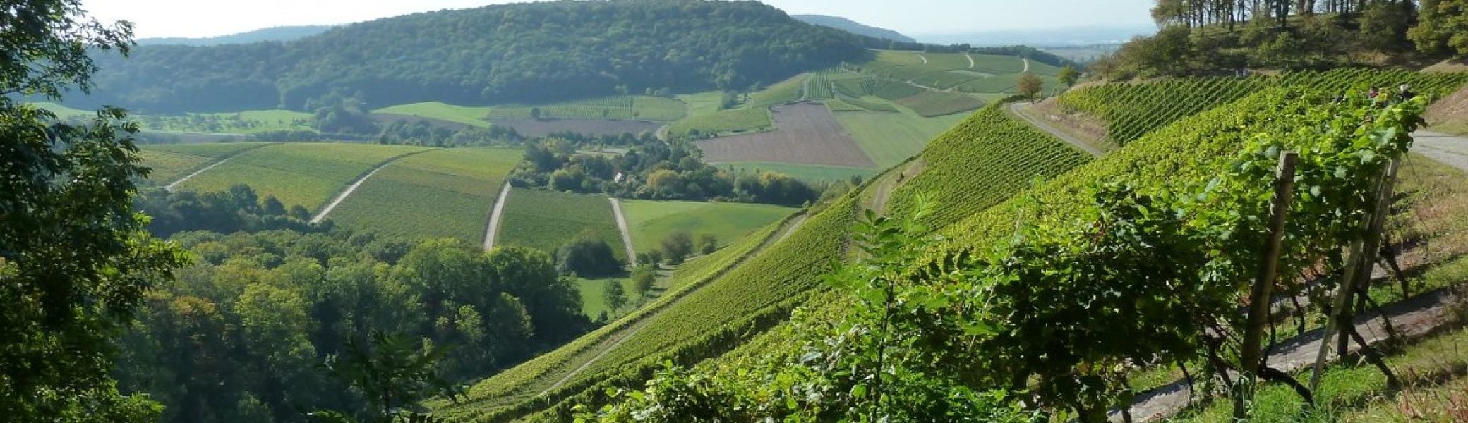 Weinwanderung | © DAV Sektion Altdorf