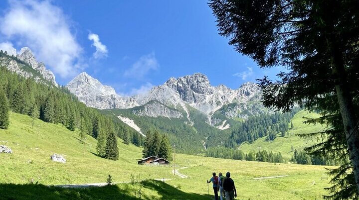 Wanderung zu den Hofalmen  bei Filzmoos | © DAV Sektion Altdorf - Inge Dorlöchter