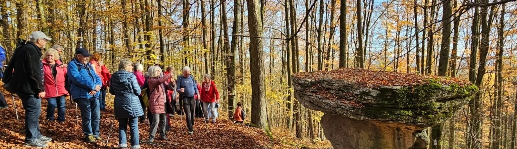 Seniorengruppe rund um Gräfenberg  | © DAV Sektion Altdorf - Helmuth Gatti