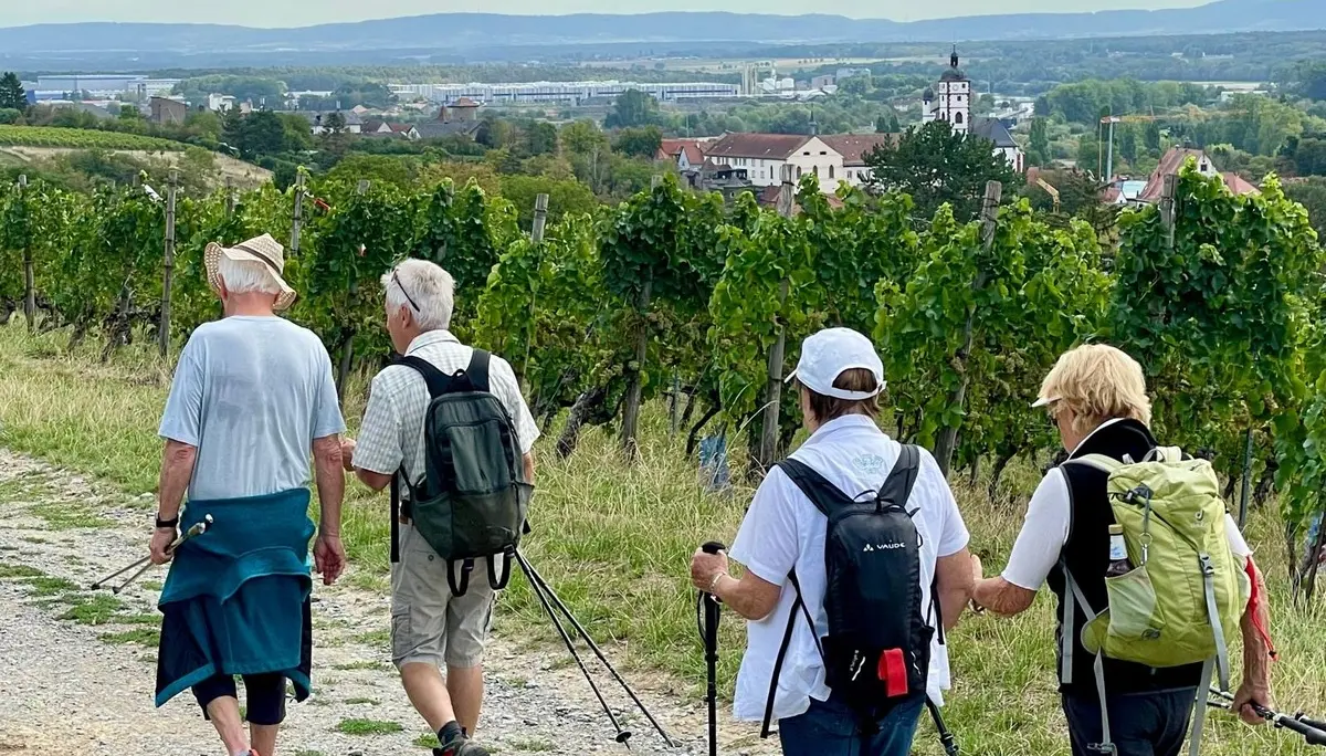 Weinberg | © DAV Altdorf