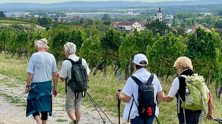 Weinberg | © DAV Altdorf