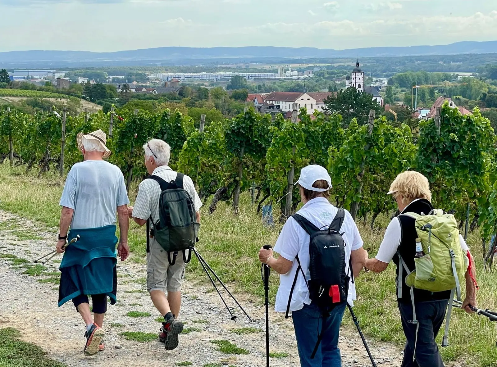 Weinberg | © DAV Altdorf