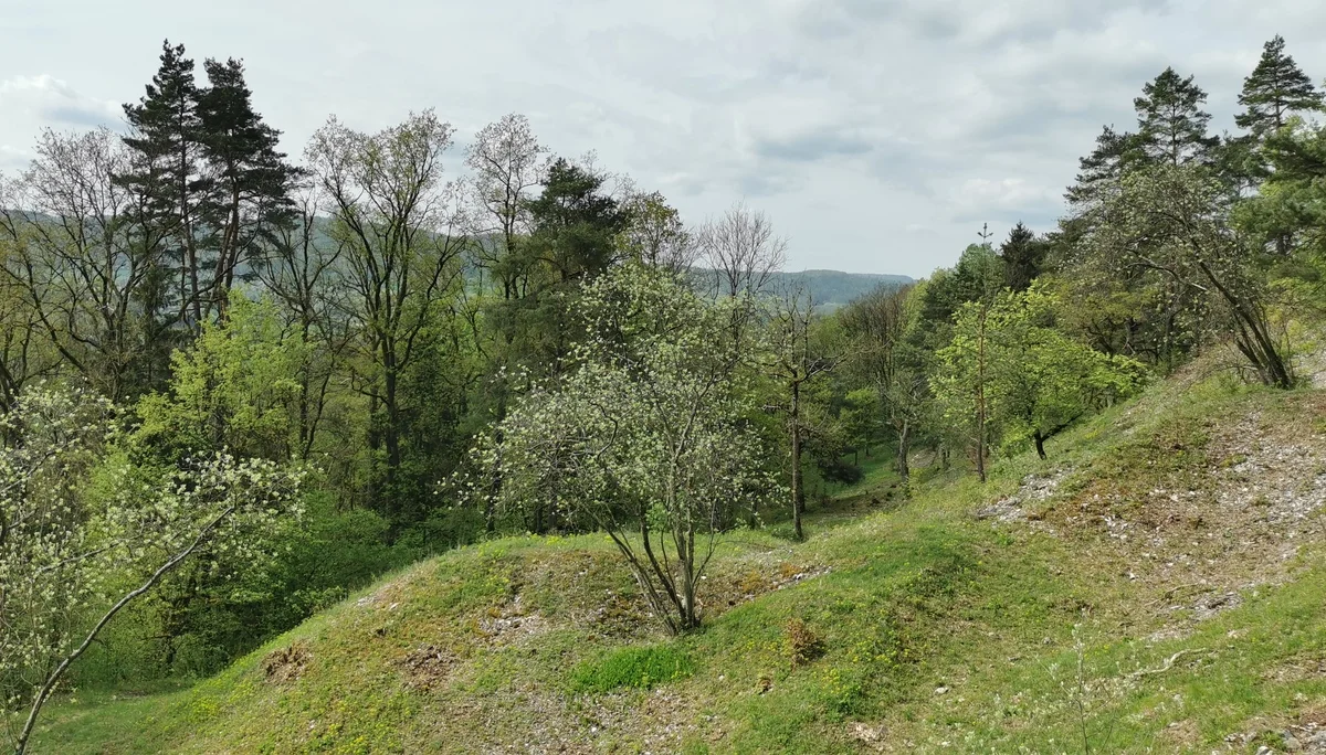 Unterhalb der Geißkirche | © DAV Altdorf - Gisela Schuster