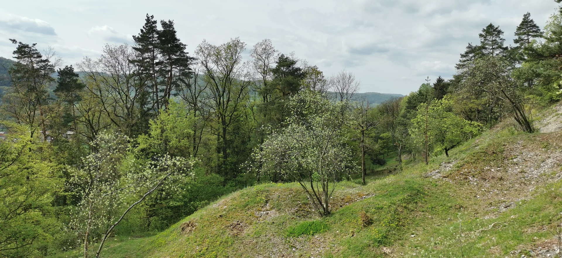 Unterhalb der Geißkirche | © DAV Altdorf - Gisela Schuster