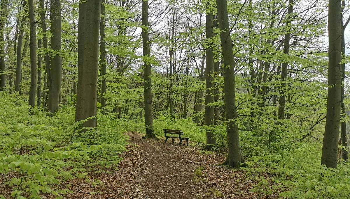 Warten auf Wanderer | © DAV Altdorf- Gisela Schuster