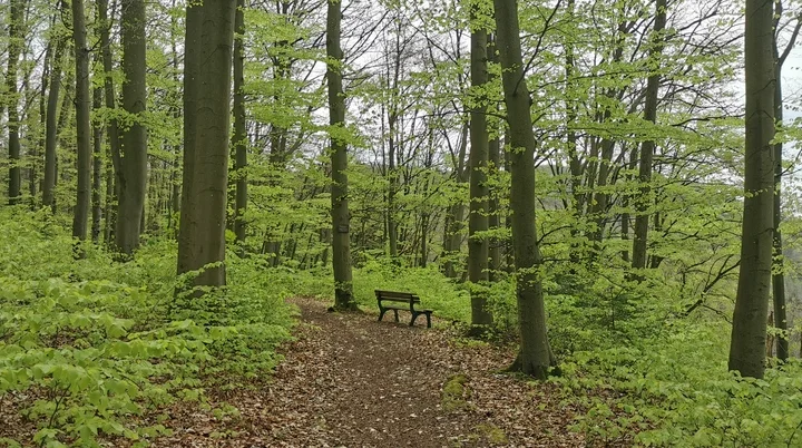 Warten auf Wanderer | © DAV Altdorf- Gisela Schuster