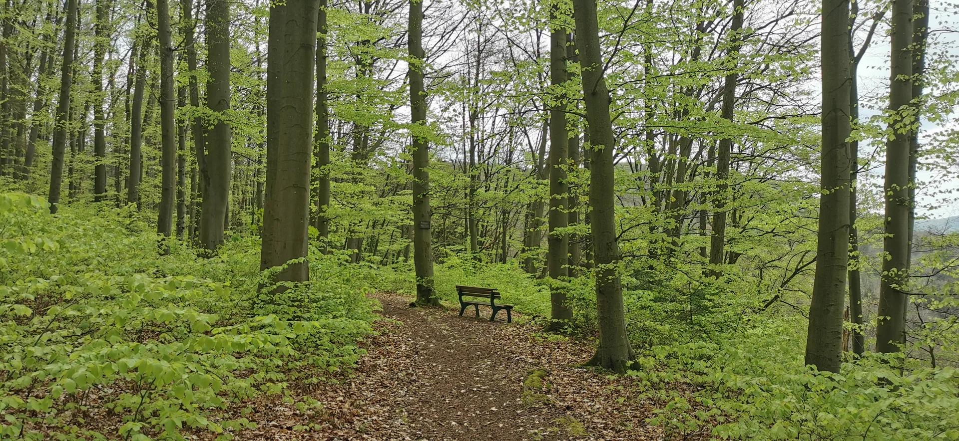 Warten auf Wanderer | © DAV Altdorf- Gisela Schuster