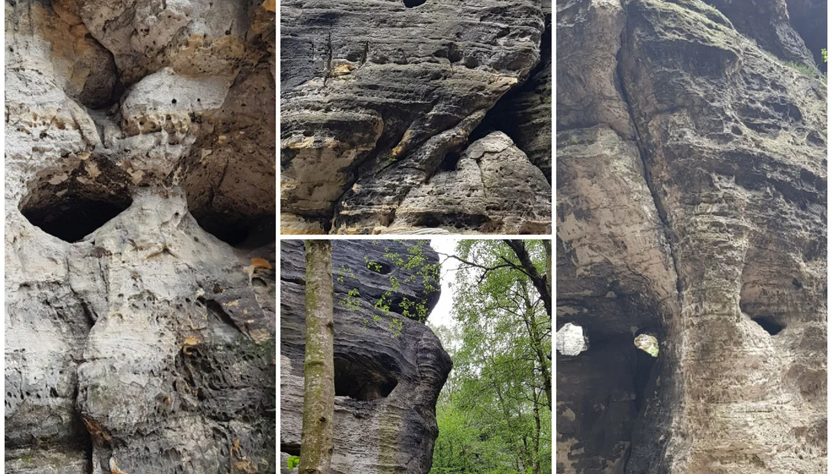 Steige Elbsandstein 2024 -Gruppe | © DAV Sektion Altdorf - Eva Dechand