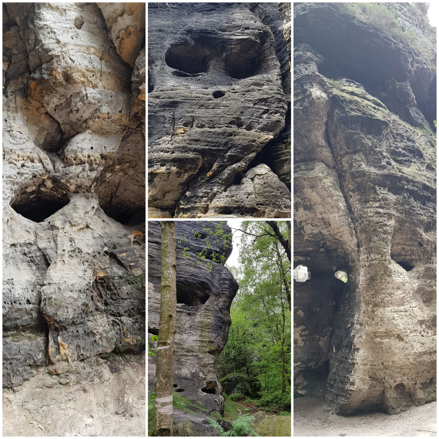 Steige Elbsandstein 2024 -Gruppe | © DAV Sektion Altdorf - Eva Dechand