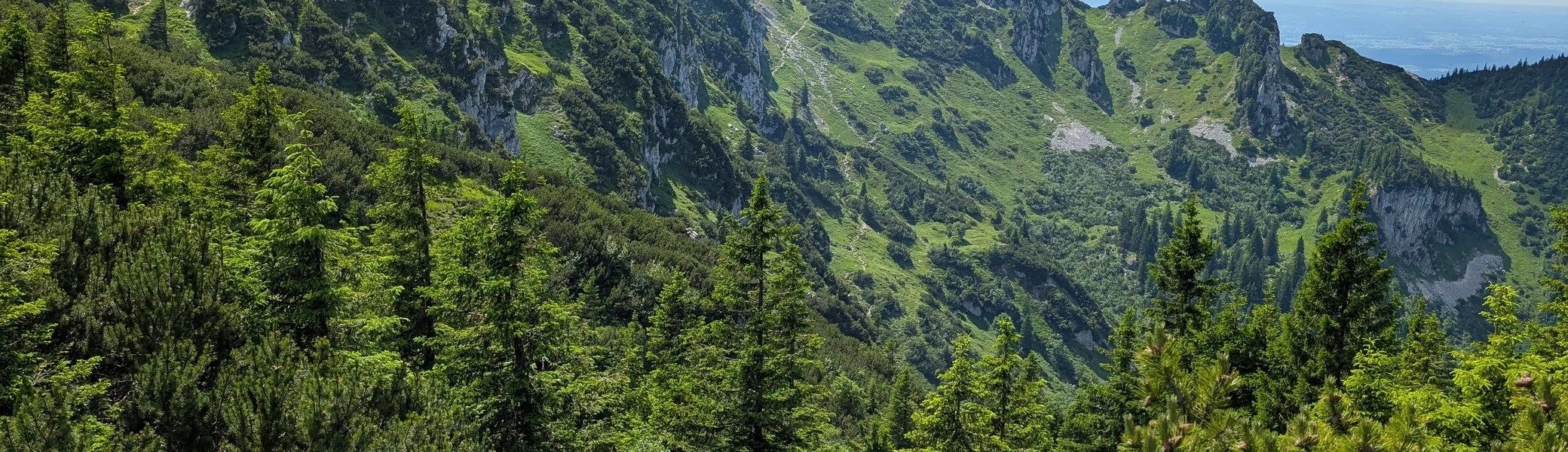 Bergsommeranfang - Benediktenwand in Sicht | © DAV Sektion Altdorf - Hubert