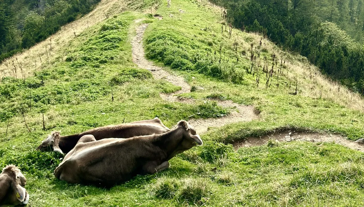 Dachsteine Klettersteige | © DAV Sektion Altdorf - Michaela Vollhardt