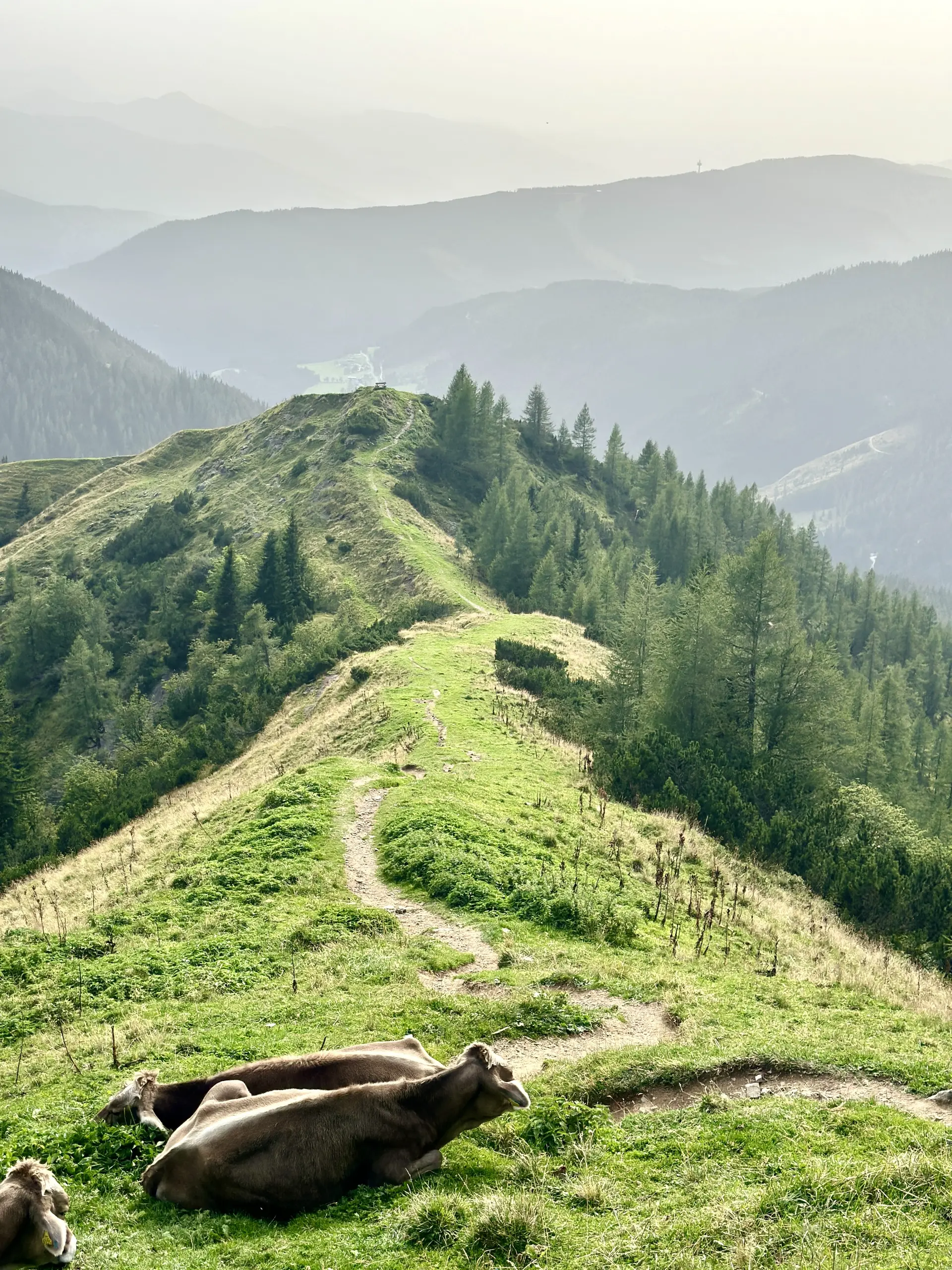 Dachsteine Klettersteige | © DAV Sektion Altdorf - Michaela Vollhardt