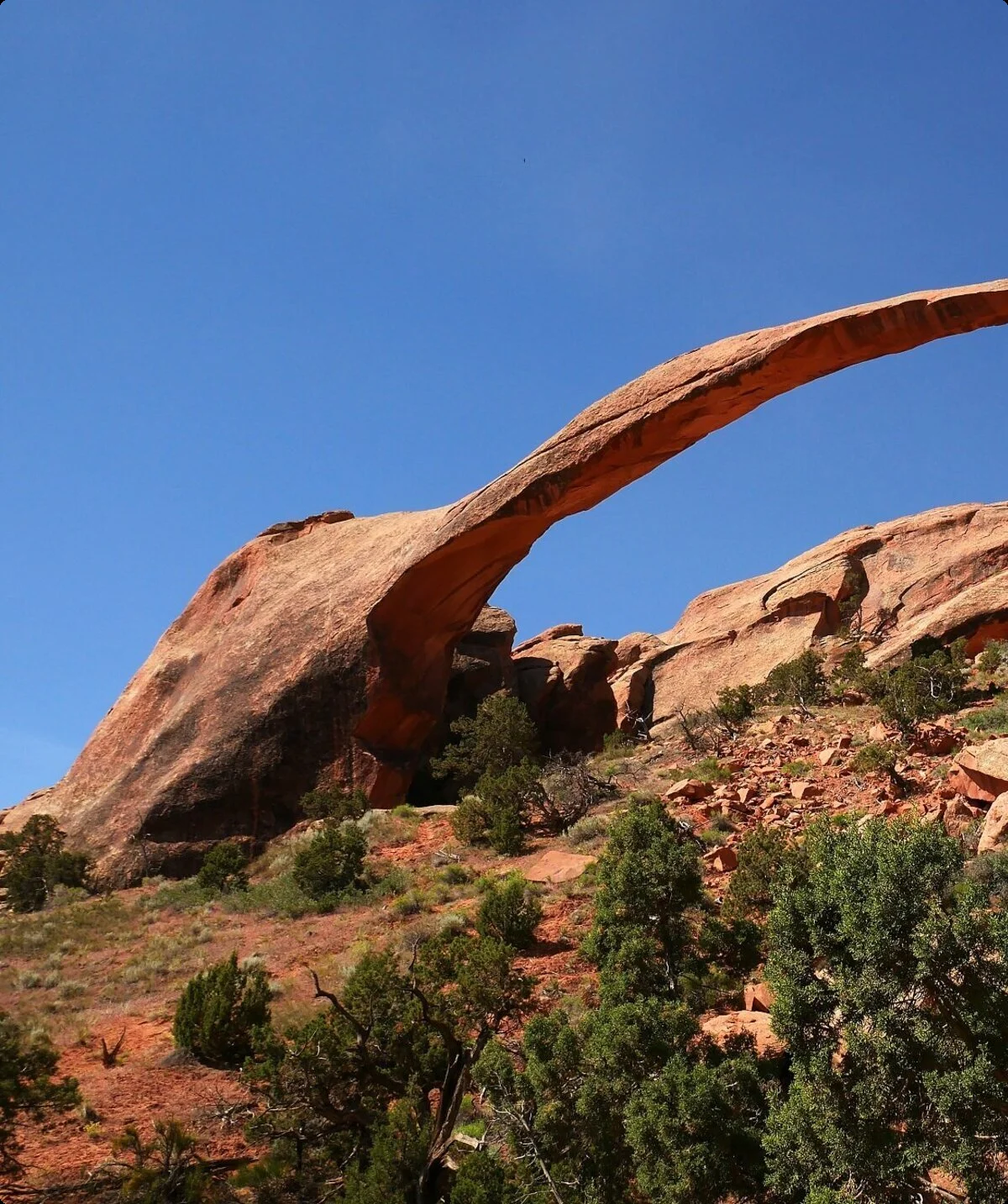 USA Arches | © DAV Sektion Altdorf - Edgar Krapp