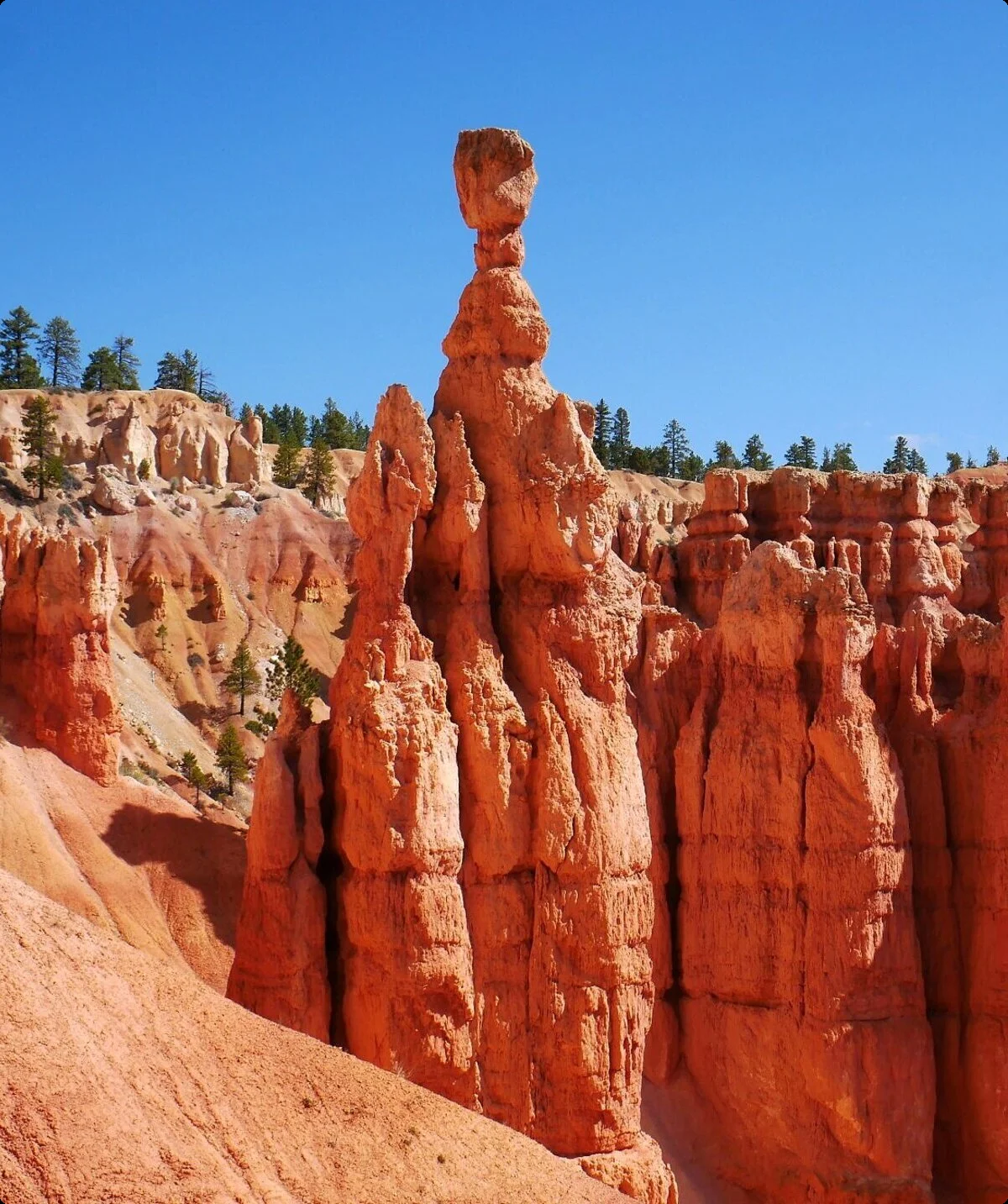 USA Bryce | © DAV Sektion Altdorf - Edgar Krapp