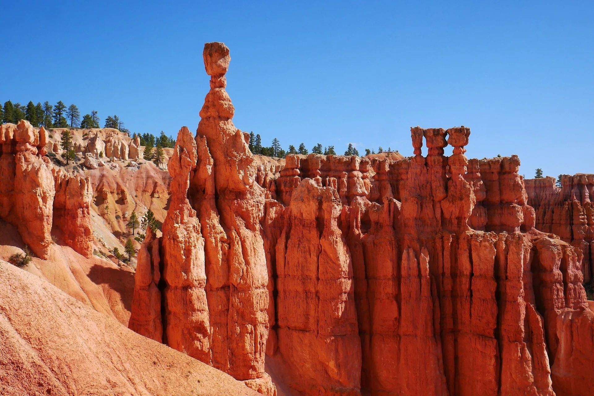 USA Bryce | © DAV Sektion Altdorf - Edgar Krapp