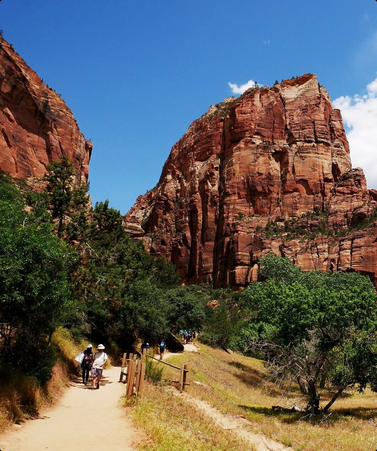 USA Zion | © DAV Sektion Altdorf - Edgar Krapp