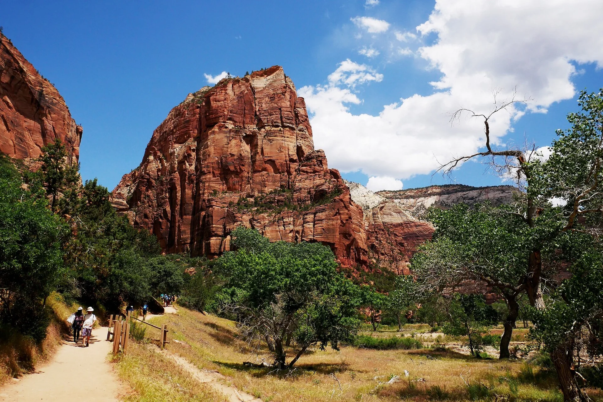 USA Zion | © DAV Sektion Altdorf - Edgar Krapp