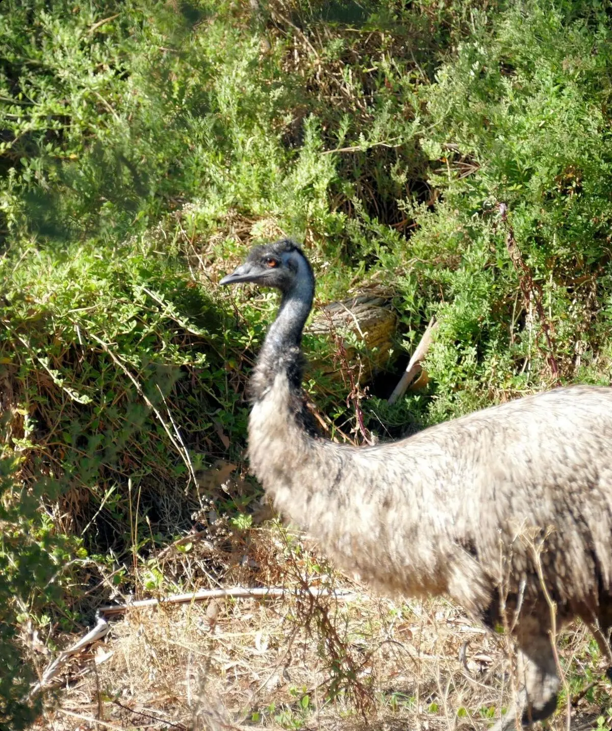 Sektionsabend Juli | © Sektionsabend DAV Altdorf - Wolfgang Wening