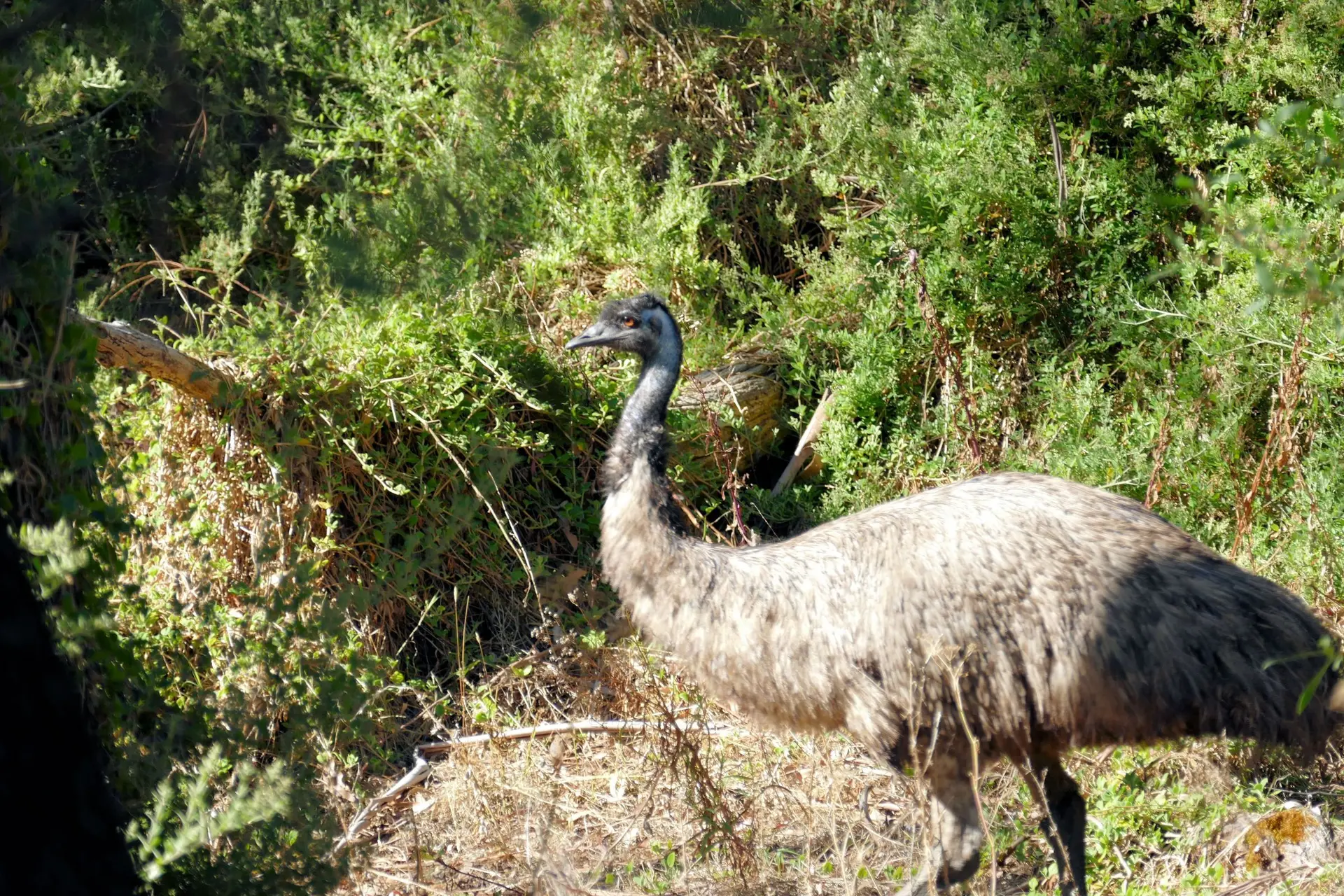 Sektionsabend Juli | © Sektionsabend DAV Altdorf - Wolfgang Wening