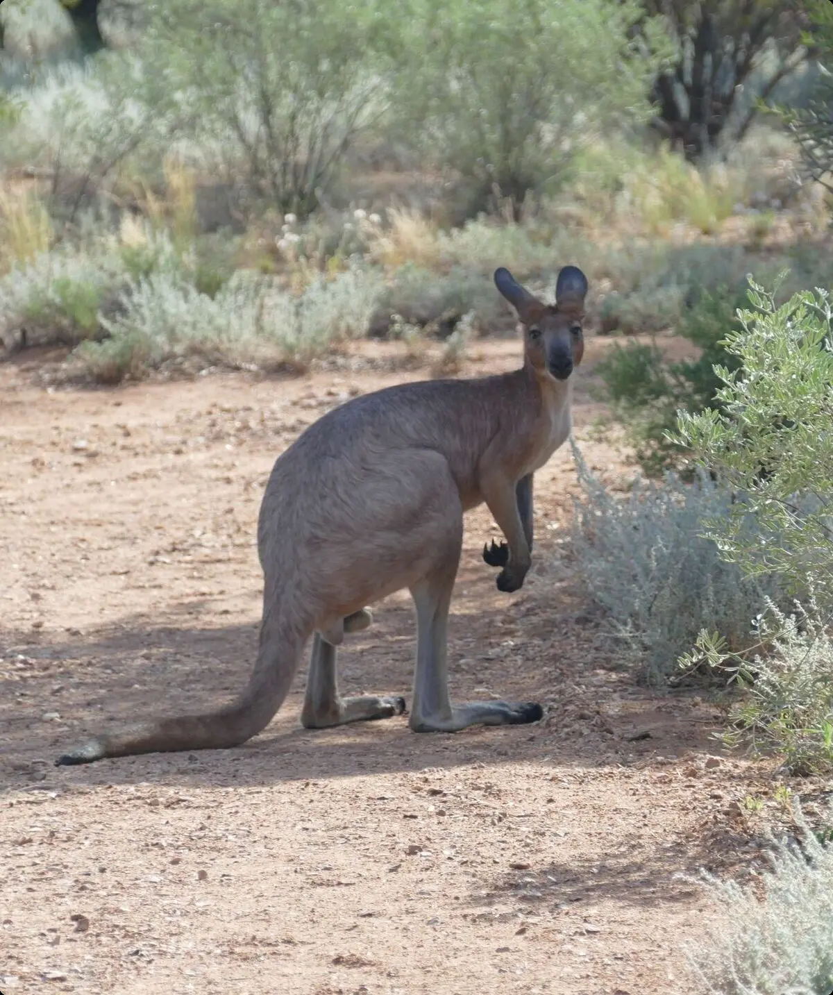 Sektionsabend Juli | © Sektionsabend DAV Altdorf - Wolfgang Wening