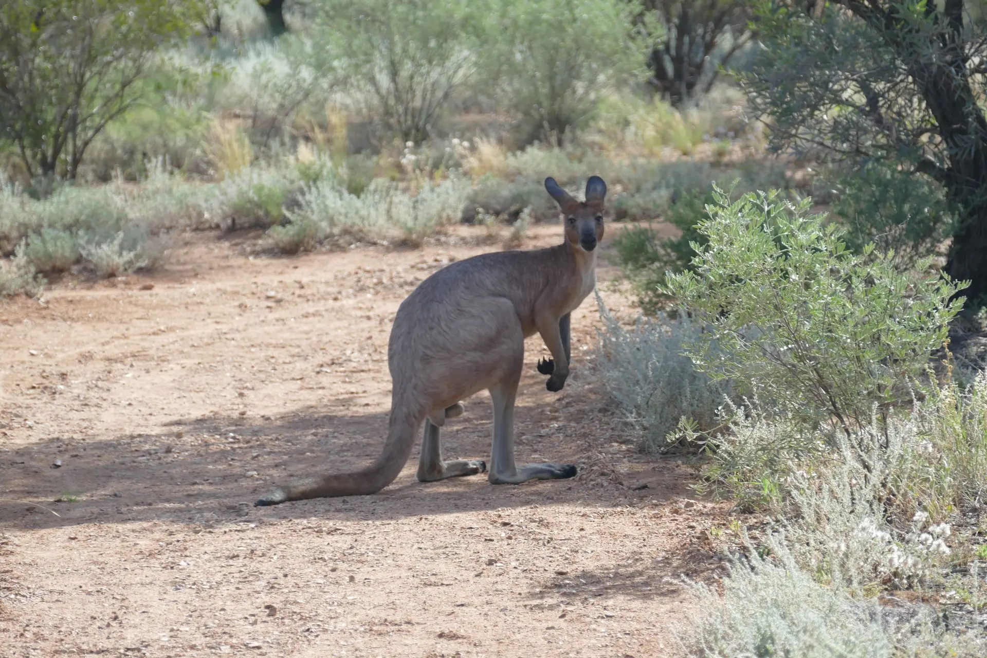 Sektionsabend Juli | © Sektionsabend DAV Altdorf - Wolfgang Wening