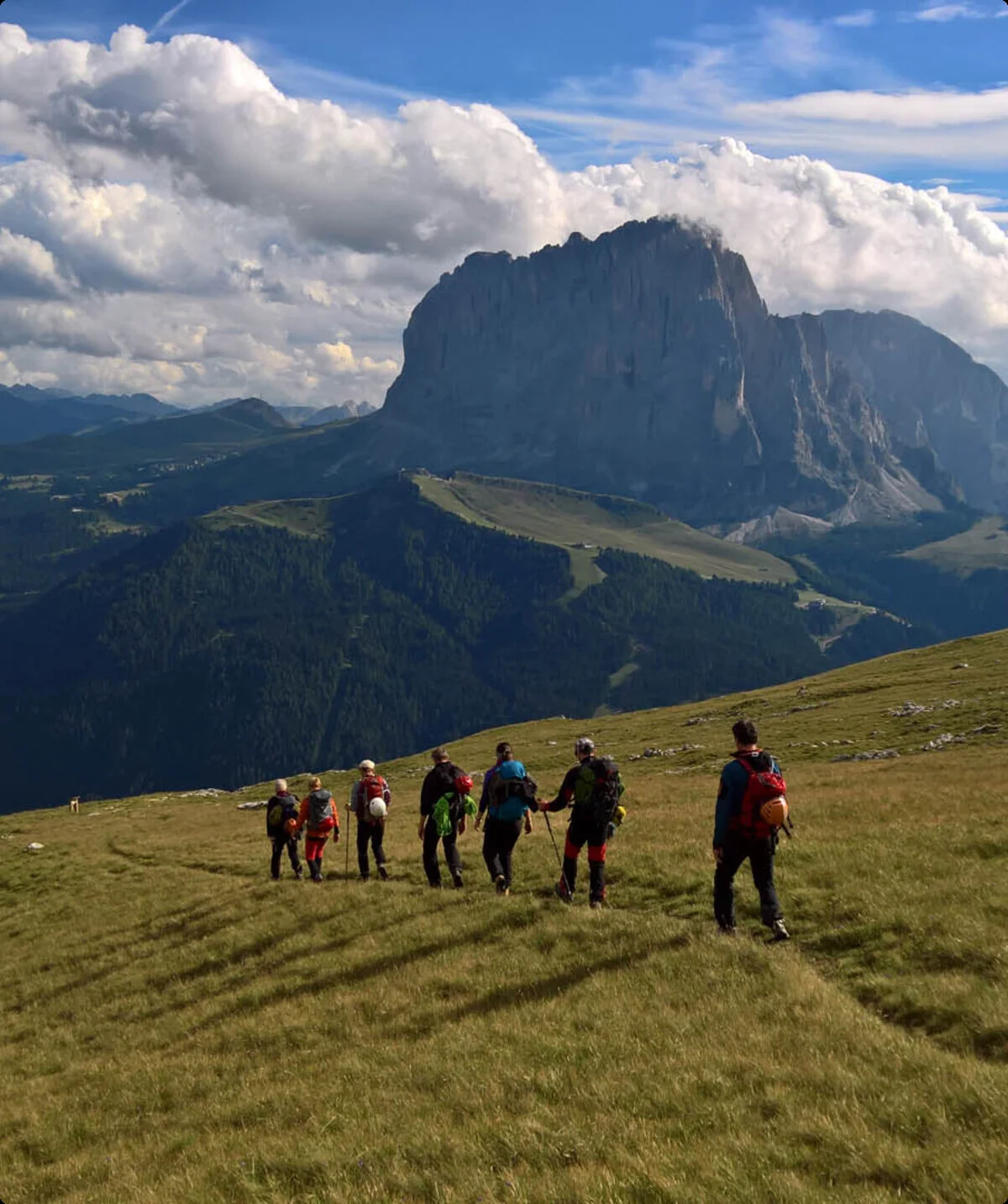 Dolomiten- Stevia Hochweide mit Blick auf Langkofel | © DAV Sektion Altdorf - Bergsteigergruppe - Wolfgang