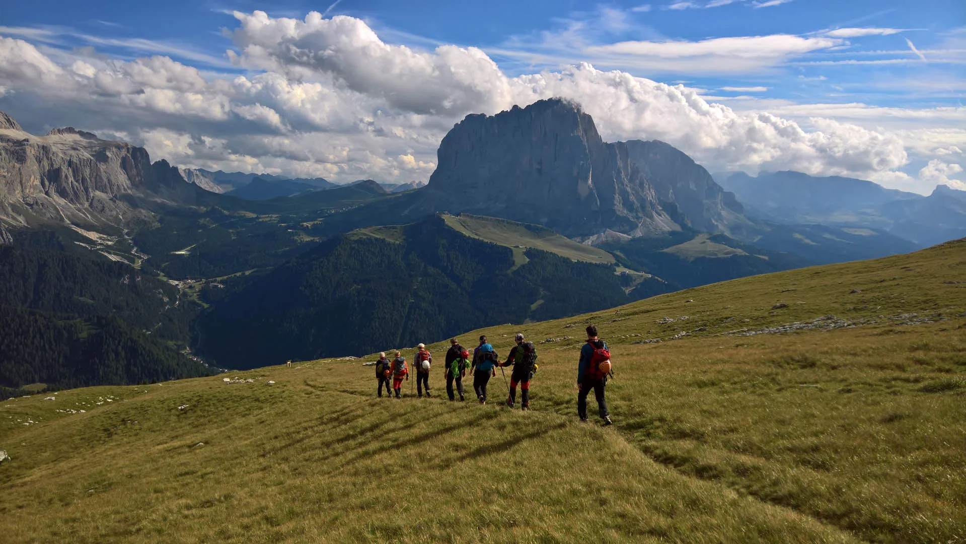 Dolomiten- Stevia Hochweide mit Blick auf Langkofel | © DAV Sektion Altdorf - Bergsteigergruppe - Wolfgang