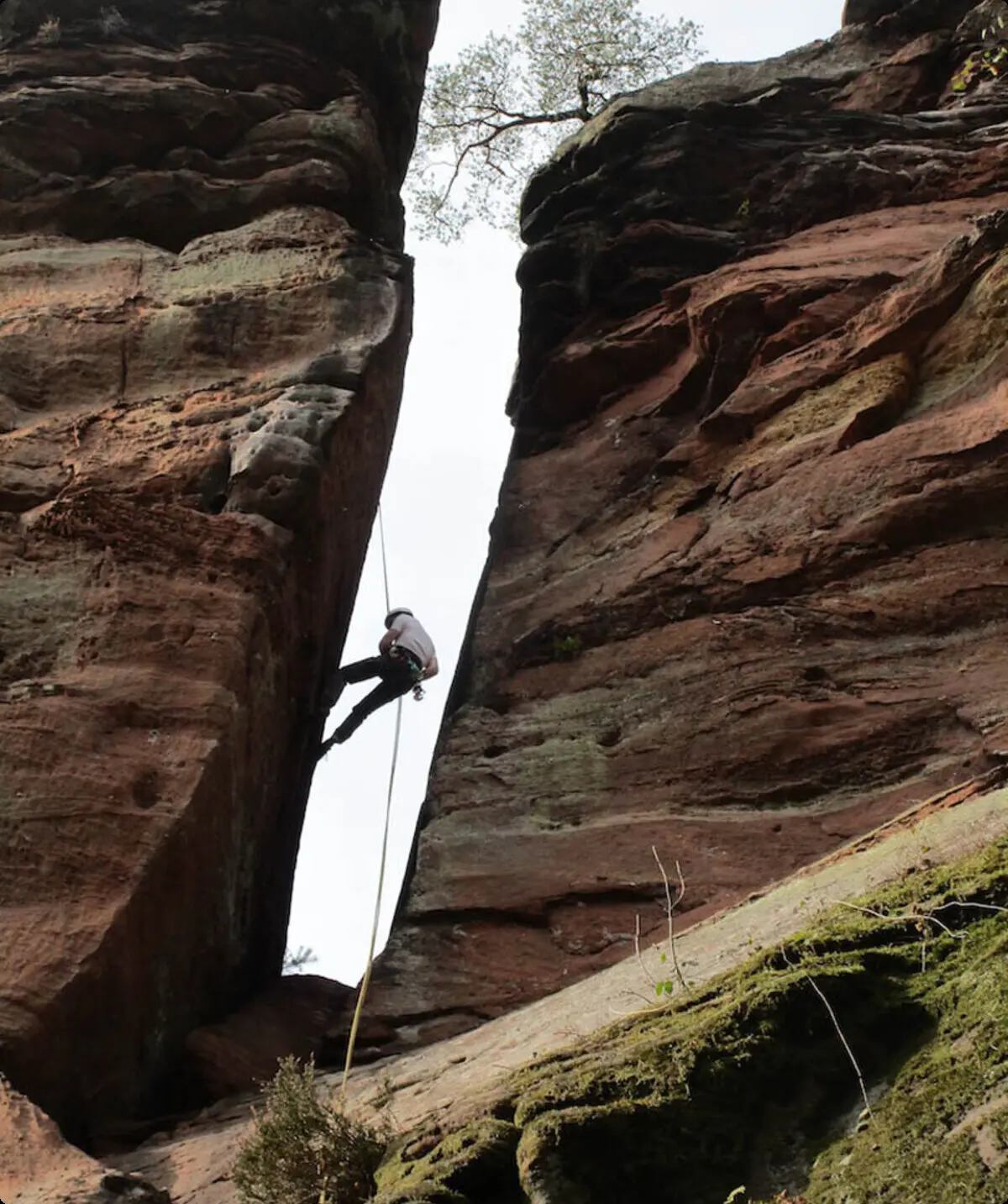 Abseilen Rappenwand | © DAV Sektion Altdorf - Sportklettern - Reinhard Born/Klaus Kiderlin