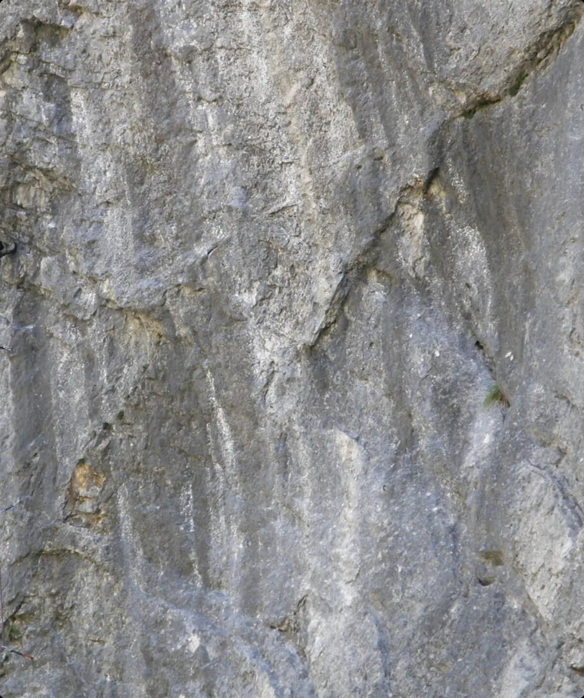 Einsatz für Fotografen | © DAV Sektion Altdorf - Sportklettern - Martina Link